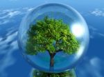 Tree In A Bubble Stock Photo