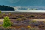 Grand Teton National Park Stock Photo