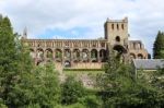 Jedburgh Abbey Stock Photo