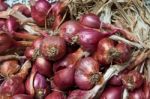 Shallots Stock Photo