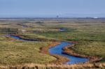 Elmley Marshes Stock Photo