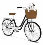 Bicycles And French Bulldog Puppy Stock Photo