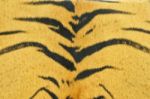 Tiger Skin Pattern Stock Photo