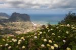 Porto Da Cruz, Madeira/portugal - April 12 : Penha D'aguia (eagl Stock Photo