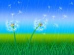 Dandelion Grass Shows Sky Flower And Environment Stock Photo