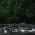 Gardners Falls In Maleny, Sunshine Coast Stock Photo