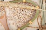 Organic Barley Grains Stock Photo