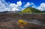 Mount Bromo Volcano (gunung Bromo)in Bromo Tengger Semeru National Park, East Java, Indonesia Stock Photo