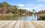 Wood Table And River And Stone With Tree In Forest Beautiful Nat Stock Photo