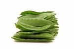 Mange Tout Stock Photo