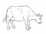 Line Drawing Of Cow -simple Line Stock Photo