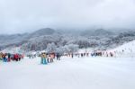 Deogyusan,korea - January 23: Skiers And Tourists In Deogyusan Ski Resort On Deogyusan Mountains,south Korea On January 23, 2015 Stock Photo