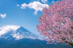 Fuji Mountain And Cherry Blossoms In Spring, Japan Stock Photo