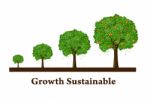 Growth Sustainable Stock Photo