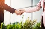 Closeup Friendly Meeting Handshake Between Business Woman And  B Stock Photo