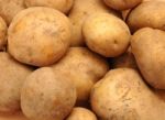 Potatoes Stock Photo