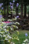 Hummingbird Feeding On Delphinium Stock Photo