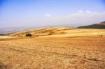 Farmland Landscape In Ethiopia Stock Photo