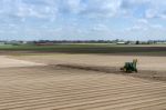 Dutch Bulb Field After Harvest Near Keukenhof Stock Photo