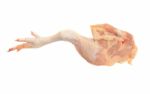 Chicken Leg Stock Photo