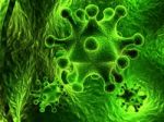 Virus Closeup Stock Photo