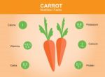 Carrot Nutrition Facts, Carrot With Information, Carrot Stock Photo