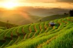 Rice Terraces With Sunset Backdrop At Ban Papongpieng Chiangmai Stock Photo