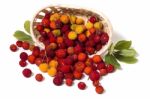 Strawberry Tree (arbutus Unedo) Fruit Stock Photo