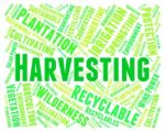 Harvesting Word Means Plants Plant And Harvests Stock Photo