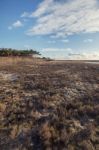 Low Tide Marshland Stock Photo