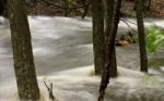 Stream During Hurricane Irene Stock Photo