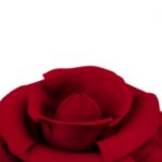 Red Rose Stock Photo