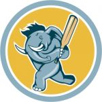 Elephant Batting Cricket Bat Cartoon Stock Photo