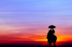 Silhouette Elephant With Tourist At Sunset Stock Photo