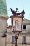 Pigeons In And Out A Lamp Stock Photo