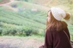 Portrait Of A Beautiful Asian Women With Nature Background Stock Photo