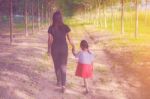 Two Hands Holding Puzzle Mother And Child,the Woman And Child Holding Hands At Sunset Stock Photo