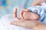 Newborn Baby Feet Stock Photo