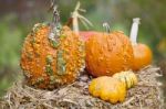 Variety Of Pumpkins On Hay Stock Photo