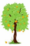 Orange Tree Stock Photo