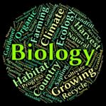 Biology Word Indicating Plant Life And Fauna Stock Photo