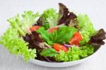 Fresh Salad Stock Photo