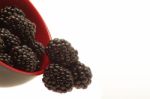 Blackberries Stock Photo