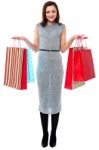 Portrait Of A Young Shopaholic Woman Stock Photo