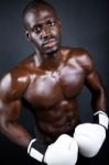 Young Athletic Boxer Wearing Gloves In Black Background Stock Photo