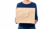 Lady Holding Shopping Bag, Cropped Image Stock Photo