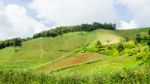 Farmland On The Hill Stock Photo