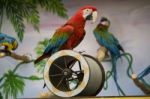 Macaw On A Cilinder Stock Photo