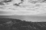 View Of Bruny Island Beach During The Day Stock Photo