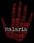 Stop Malaria Represents Warning Sign And Disease Stock Photo